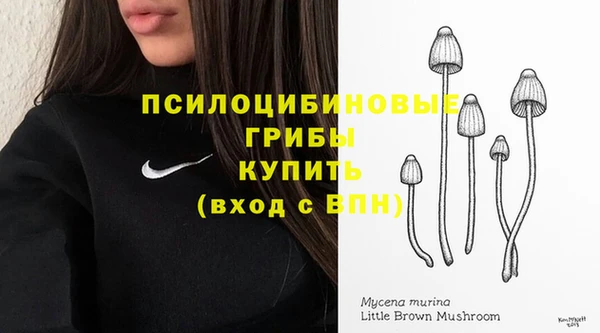 молекула духа Аркадак