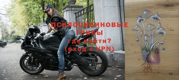 экстази Арсеньев