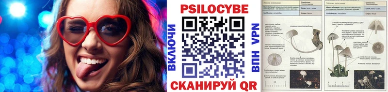 Галлюциногенные грибы прущие грибы  Суворов 